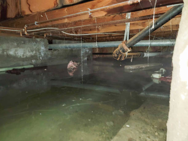 Best Water damage repair service  in North Spearfish, SD