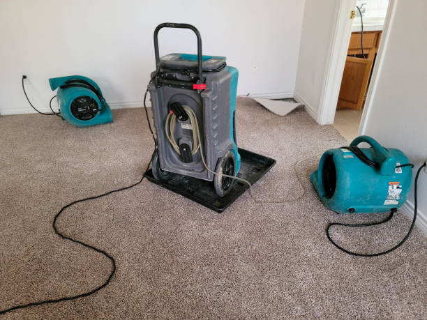 Best 24-hour water damage restoration  in North Spearfish, SD