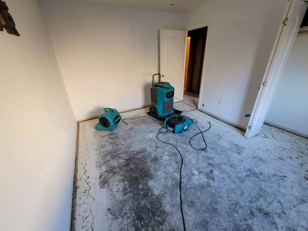 Best Water damage cleanup near me  in North Spearfish, SD