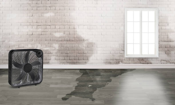 Best Commercial water damage restoration  in North Spearfish, SD