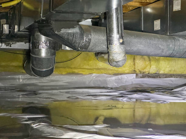 Best Ceiling water damage repair  in North Spearfish, SD