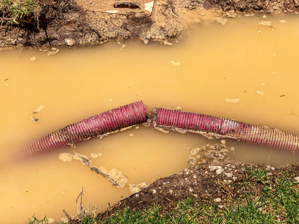 Best Water damage contractors near me  in North Spearfish, SD
