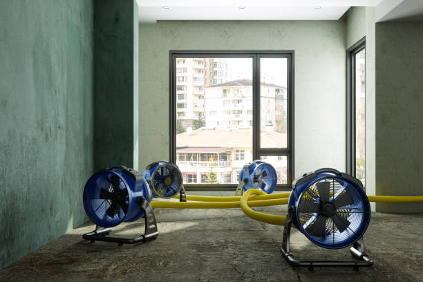 Best Water damage mitigation services  in North Spearfish, SD