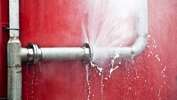 Best Mold removal after water damage  in North Spearfish, SD